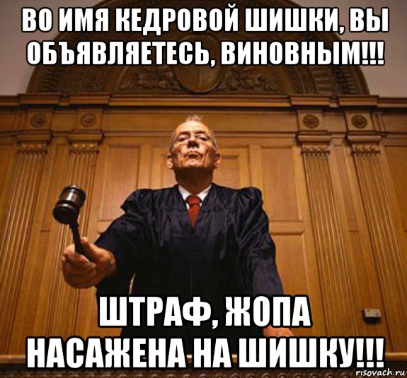 во имя кедровой шишки, вы объявляетесь, виновным!!! штраф, жопа насажена на шишку!!!, Мем Суд