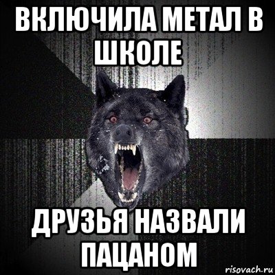 включила метал в школе друзья назвали пацаном, Мем Сумасшедший волк