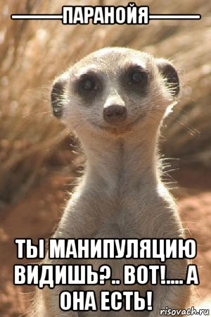 --------паранойя-------- ты манипуляцию видишь?.. вот!.... а она есть!, Мем Суслик