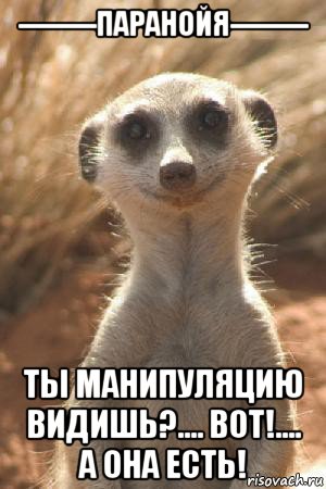 --------паранойя-------- ты манипуляцию видишь?.... вот!.... а она есть!, Мем Суслик