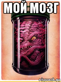 мой мозг 
