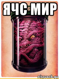 ячс мир 
