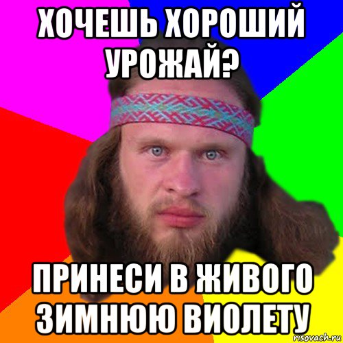 хочешь хороший урожай? принеси в живого зимнюю виолету, Мем Типичный долбослав