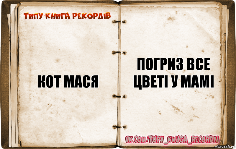 кот мася погриз все цветі у мамі, Комикс  Типу книга рекордв