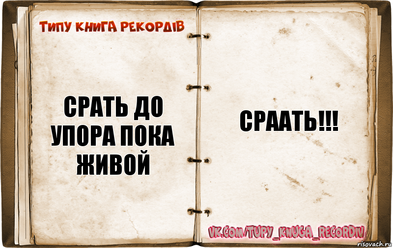 Срать до упора пока живой СРААТЬ!!!, Комикс  Типу книга рекордв