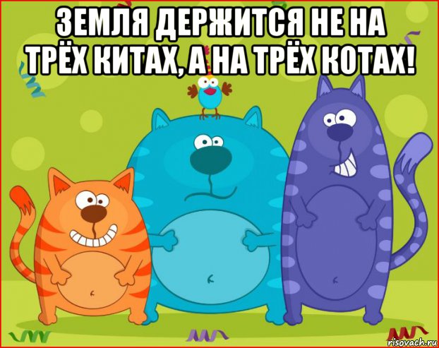 земля держится не на трёх китах, а на трёх котах! 