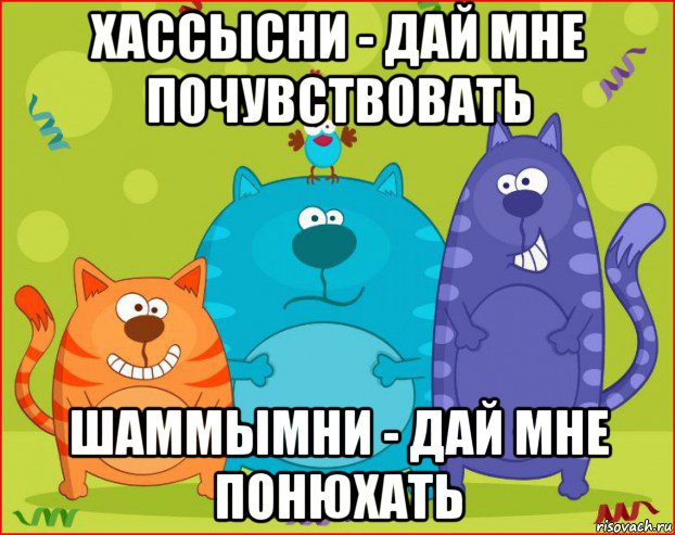 хассысни - дай мне почувствовать шаммымни - дай мне понюхать