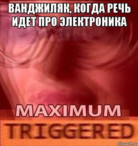 ванджиляк, когда речь идет про электроника 