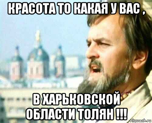 красота то какая у вас , в харьковской области толян !!!