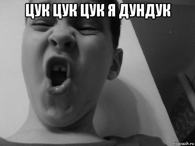 цук цук цук я дундук 
