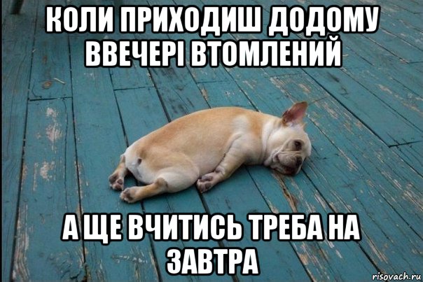 коли приходиш додому ввечері втомлений а ще вчитись треба на завтра
