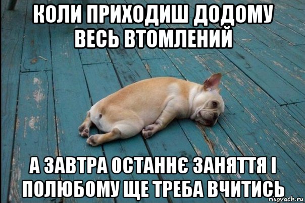 коли приходиш додому весь втомлений а завтра останнє заняття і полюбому ще треба вчитись