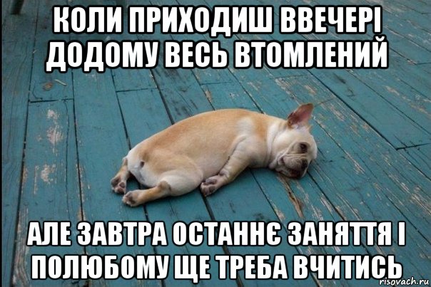 коли приходиш ввечері додому весь втомлений але завтра останнє заняття і полюбому ще треба вчитись