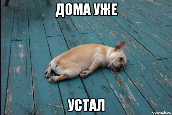 дома уже устал