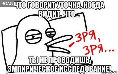 что говорит уточка, когда видит, что... ты не проводишь эмпирическое исследование!