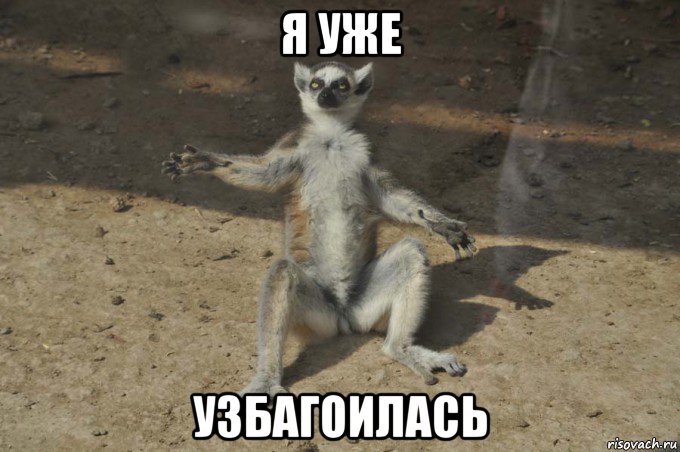 я уже узбагоилась