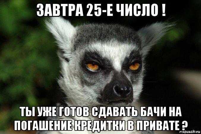 завтра 25-е число ! ты уже готов сдавать бачи на погашение кредитки в привате ?, Мем   Я збагоен