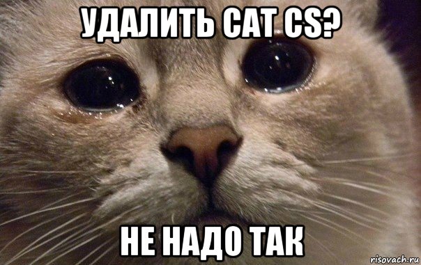 удалить cat cs? не надо так, Мем   В мире грустит один котик