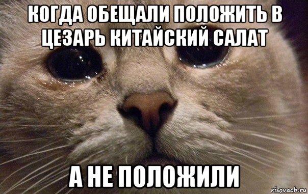 когда обещали положить в цезарь китайский салат а не положили, Мем   В мире грустит один котик