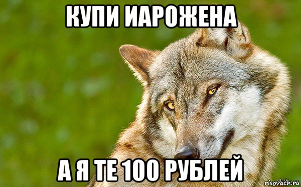 купи иарожена а я те 100 рублей, Мем   Volf