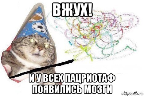 вжух! и у всех пацриотаф появились мозги, Мем Вжух