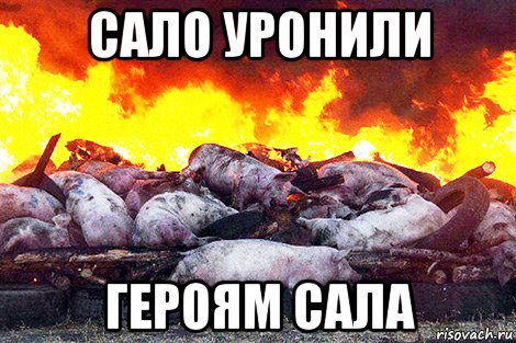 сало уронили героям сала, Мем Зал УПА