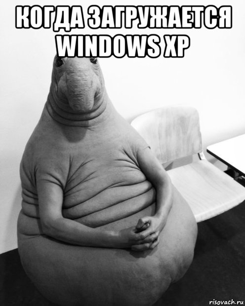 когда загружается windows xp , Мем  Ждун