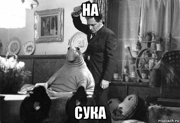 на сука