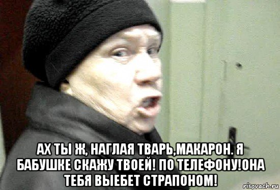  ах ты ж, наглая тварь,макарон. я бабушке скажу твоей! по телефону!она тебя выебет страпоном!