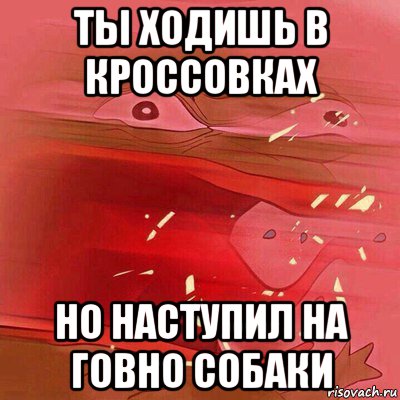 ты ходишь в кроссовках но наступил на говно собаки