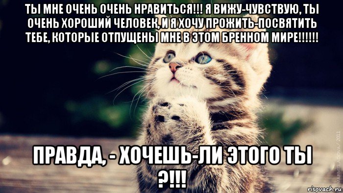 ты мне очень очень нравиться!!! я вижу-чувствую, ты очень хороший человек, и я хочу прожить-посвятить тебе, которые отпущены мне в этом бренном мире!!!!!! правда, - хочешь-ли этого ты ?!!!, Мем 1111