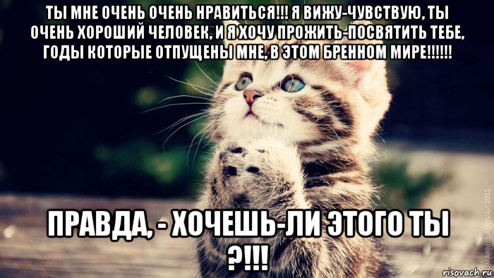 ты мне очень очень нравиться!!! я вижу-чувствую, ты очень хороший человек, и я хочу прожить-посвятить тебе, годы которые отпущены мне, в этом бренном мире!!!!!! правда, - хочешь-ли этого ты ?!!!, Мем 1111