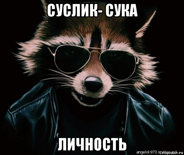 суслик- сука личность, Мем 1