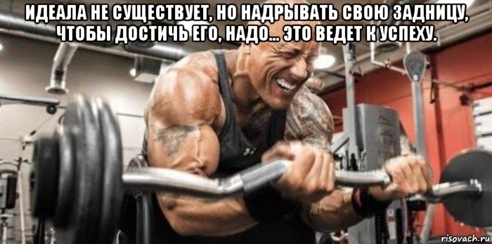 идеала не существует, но надрывать свою задницу, чтобы достичь его, надо... это ведет к успеху. , Мем 1