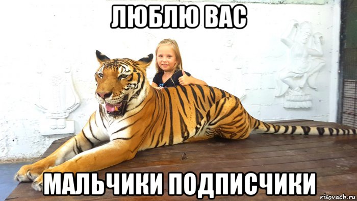 люблю вас мальчики подписчики, Мем 1