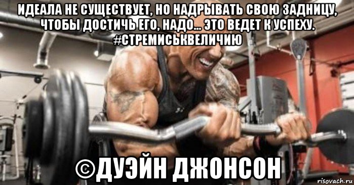 идеала не существует, но надрывать свою задницу, чтобы достичь его, надо... это ведет к успеху. #стремиськвеличию ©дуэйн джонсон, Мем 2