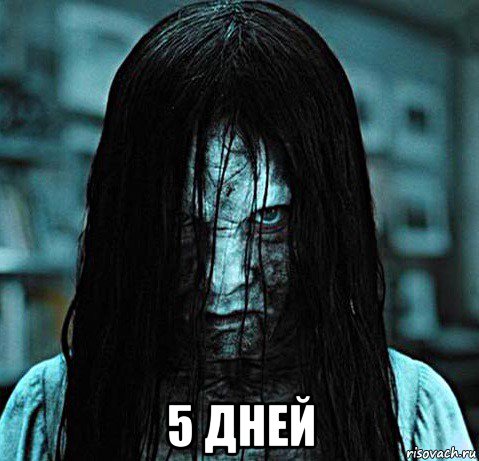  5 дней