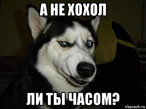 а не хохол ли ты часом?