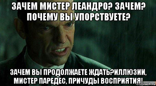зачем мистер леандро? зачем? почему вы упорствуете? зачем вы продолжаете ждать?иллюзии, мистер паредес, причуды восприятия!, Мем агент смит