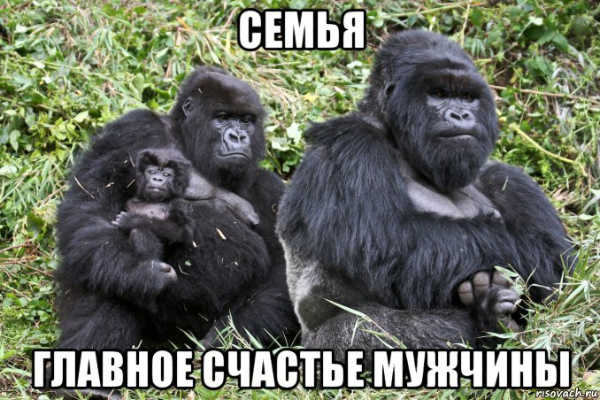семья главное счастье мужчины, Мем Алекс