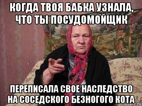 когда твоя бабка узнала, что ты посудомойщик переписала свое наследство на соседского безногого кота, Мем Аыа