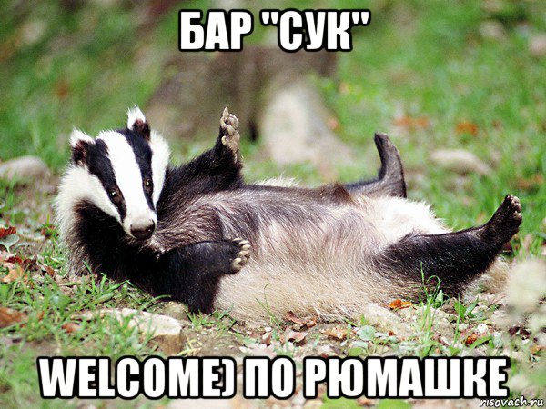 бар "сук" welcome) по рюмашке, Мем барсук