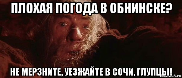 плохая погода в обнинске? не мерзните, уезжайте в сочи, глупцы!, Мем бегите глупцы