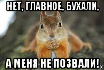 нет, главное, бухали, а меня не позвали!, Мем Белочка