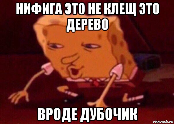 нифига это не клещ это дерево вроде дубочик, Мем    Bettingmemes