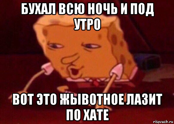 бухал всю ночь и под утро вот это жывотное лазит по хате, Мем    Bettingmemes