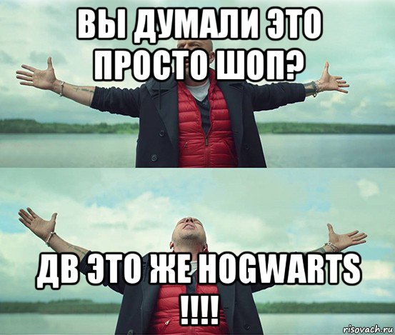 вы думали это просто шоп? дв это же hogwarts !!!!, Мем Безлимитище