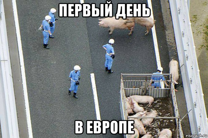 первый день в европе, Мем Безвиз