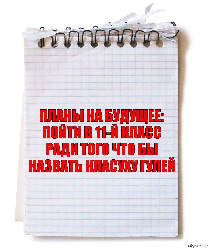 Планы на будущее:
Пойти в 11-й класс ради того что бы назвать класуху гулей, Комикс   блокнот с пружинкой