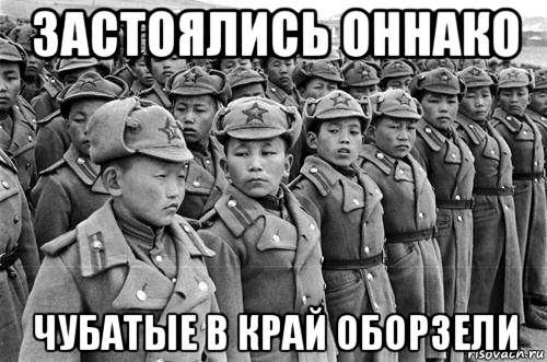застоялись оннако чубатые в край оборзели